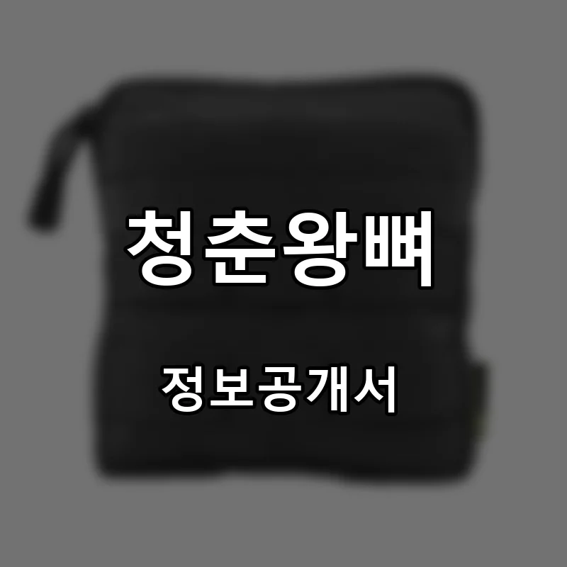 청춘왕뼈 프랜차이즈 창업 비용 정보공개서 요약