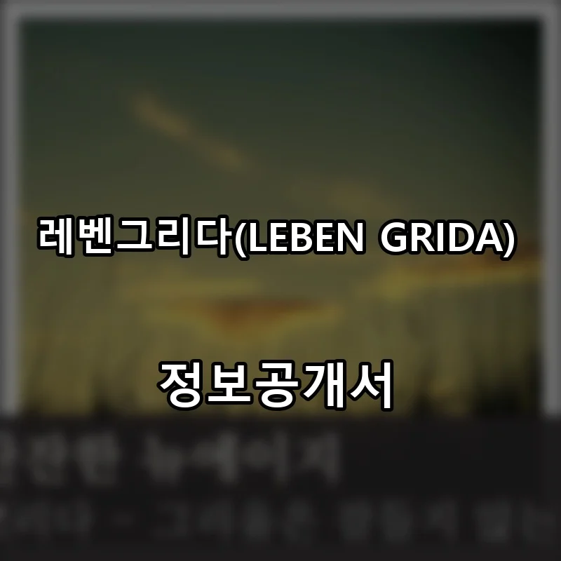 레벤그리다(LEBEN GRIDA) 프랜차이즈 창업 비용 정보공개서 요약