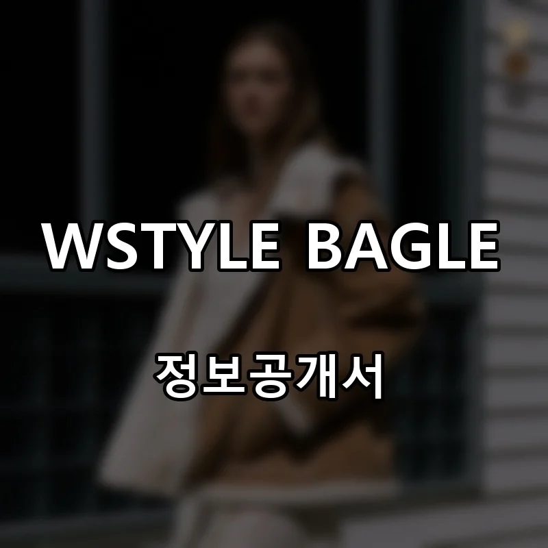 WSTYLE BAGLE 프랜차이즈 창업 비용 정보공개서 요약