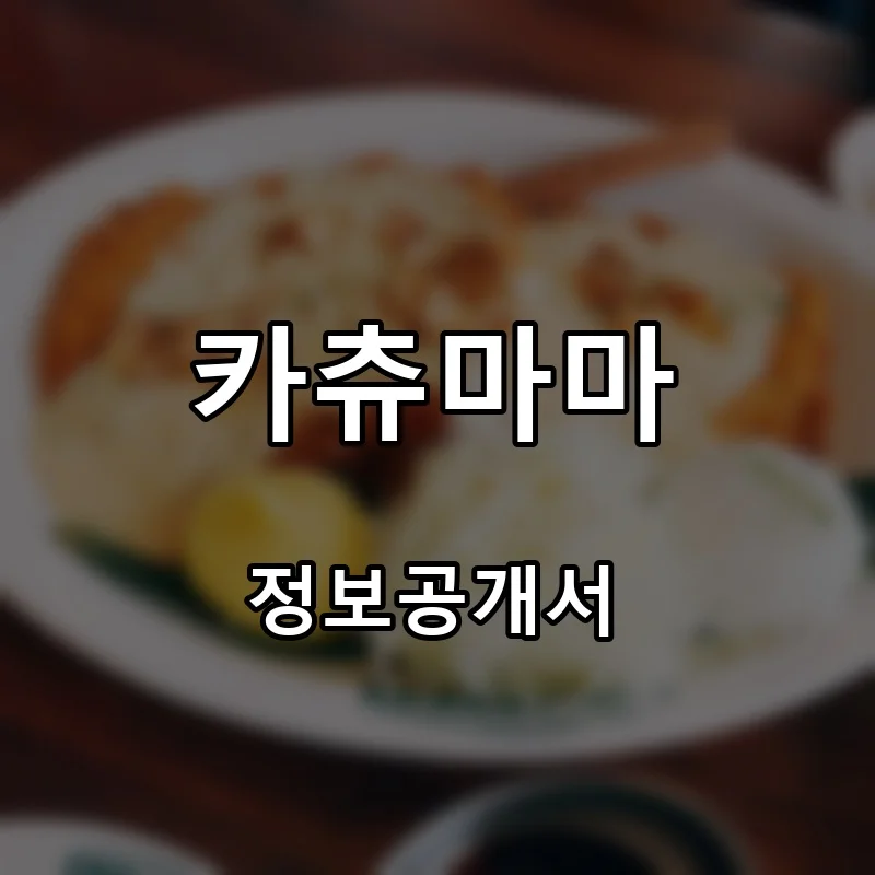 카츄마마 프랜차이즈 창업 비용 정보공개서 요약
