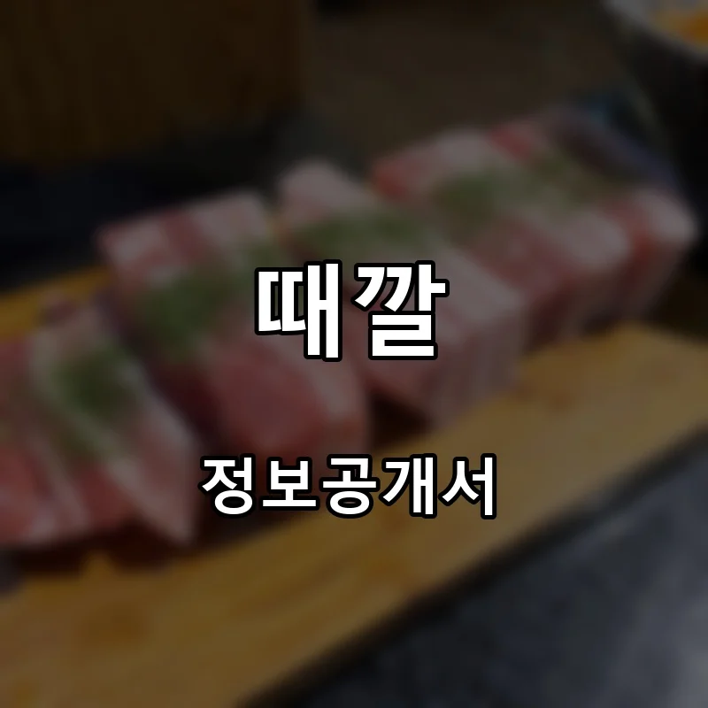 때깔 프랜차이즈 창업 비용 정보공개서 요약