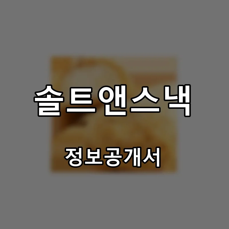솔트앤스낵 프랜차이즈 창업 비용 정보공개서 요약