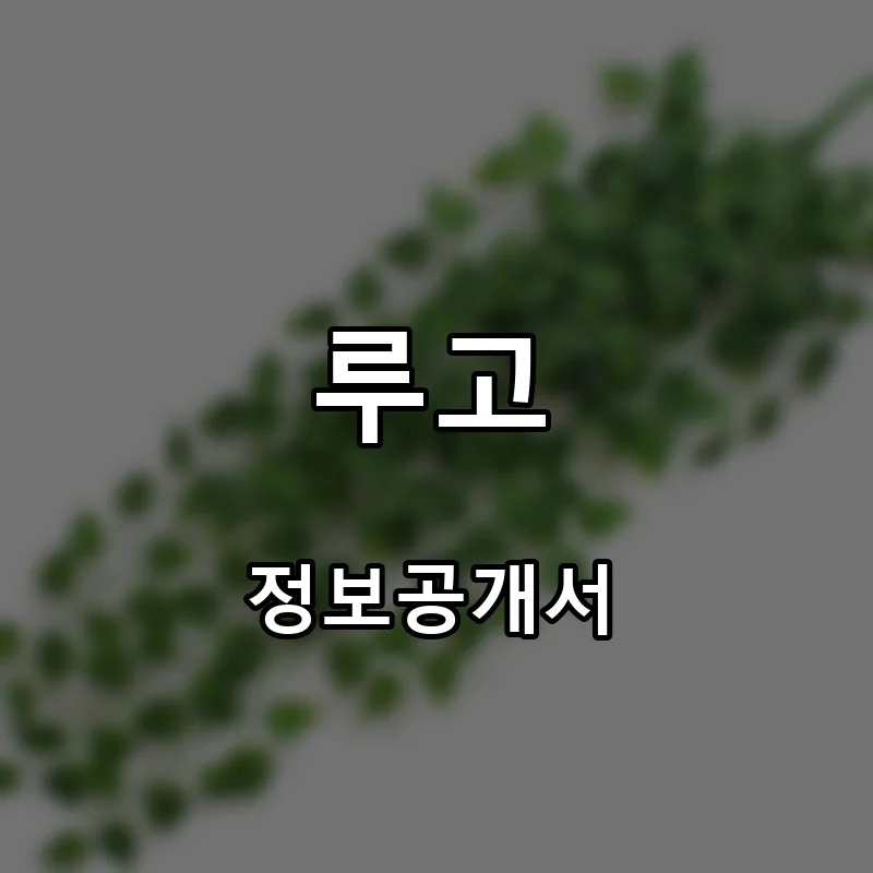 루고 프랜차이즈 창업 비용 정보공개서 요약