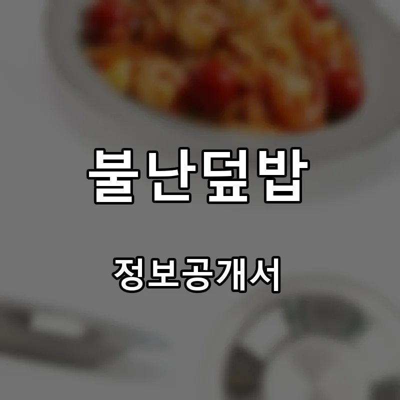 불난덮밥 프랜차이즈 창업 비용 정보공개서 요약
