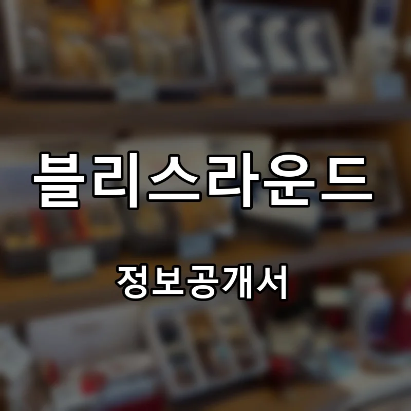 블리스라운드 창업 프랜차이즈 정보공개서 요약 2026.10.22