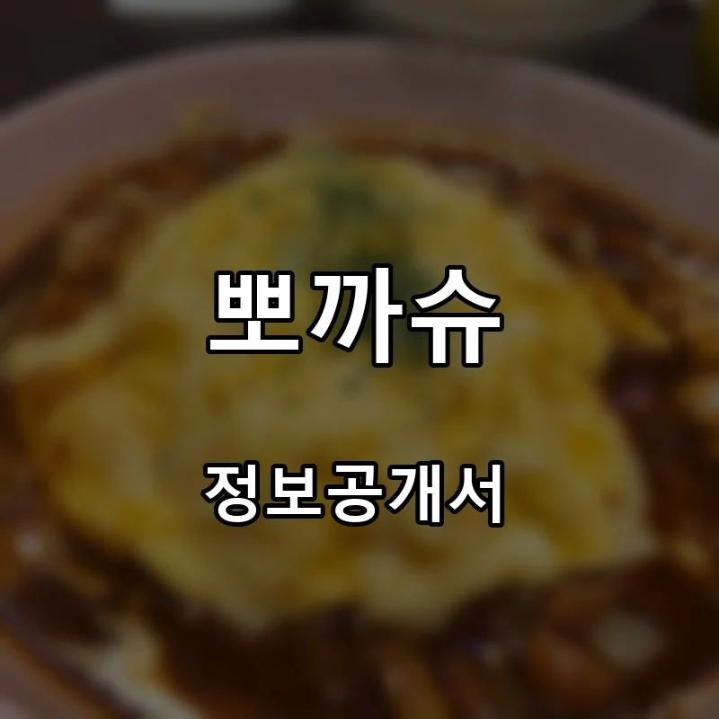 뽀까슈 프랜차이즈 창업 비용 정보공개서 요약