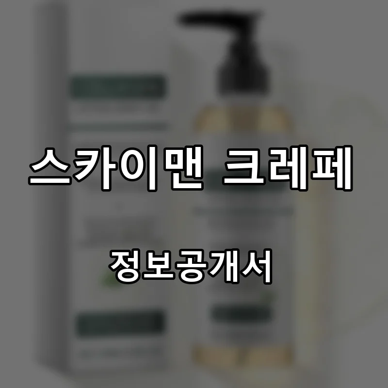 스카이맨 크레페 프랜차이즈 창업 비용 정보공개서 요약
