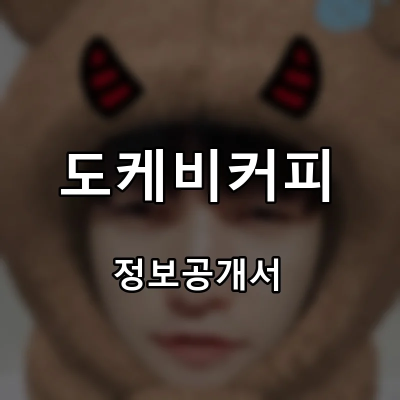 도케비커피(DoKKeB Coffee) 프랜차이즈 창업 비용 정보공개서 요약