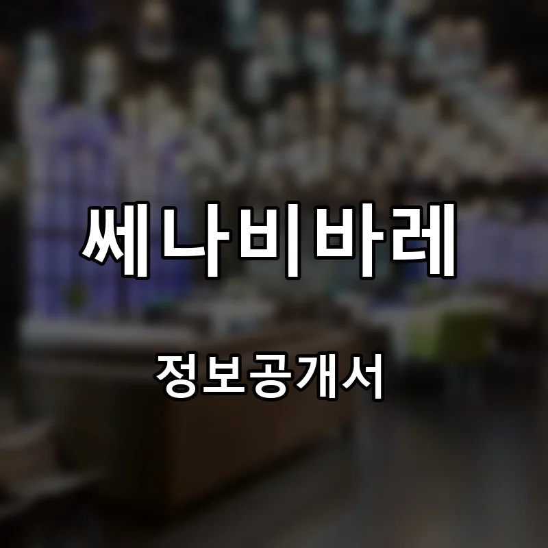 쎄나비바레(Ssenavi Barre) 프랜차이즈 창업 비용 정보공개서 요약