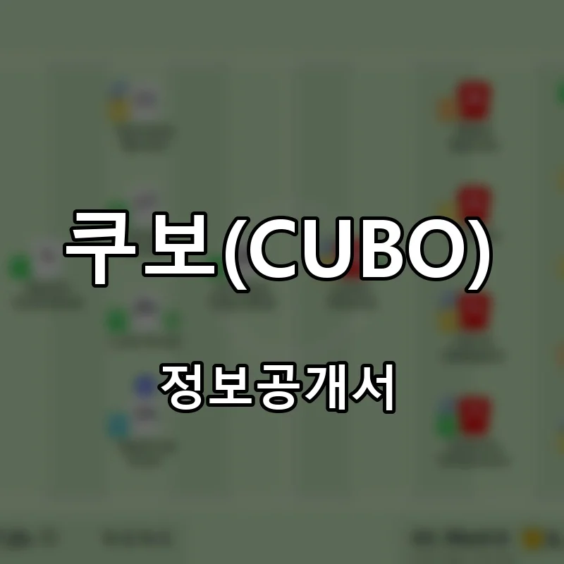 쿠보(CUBO) 프랜차이즈 창업 비용 정보공개서 요약