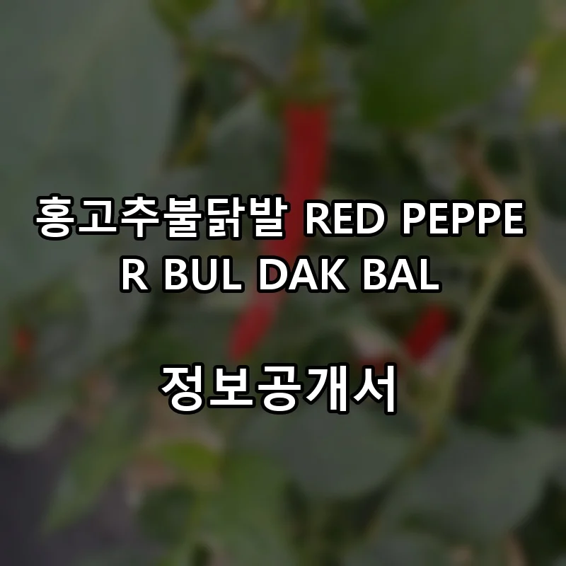 홍고추불닭발 RED PEPPER BUL DAK BAL 프랜차이즈 창업 비용 정보공개서 요약