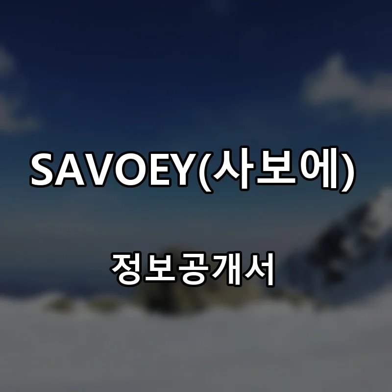 SAVOEY(사보에) 프랜차이즈 창업 비용 정보공개서 요약