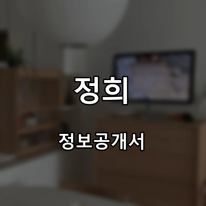 정희 창업 프랜차이즈 정보공개서 요약 2025.10.29