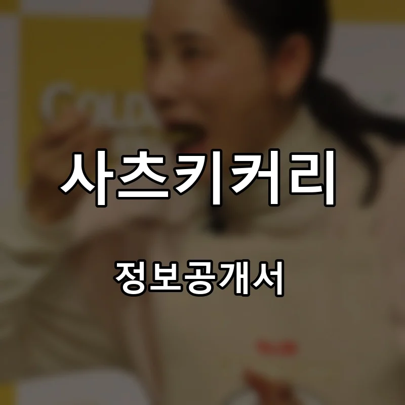 사츠키커리 프랜차이즈 창업 비용 정보공개서 요약