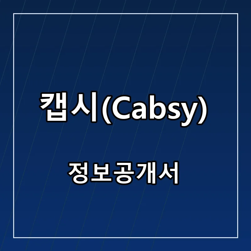 캡시(Cabsy) 프랜차이즈 창업 비용 정보공개서 요약