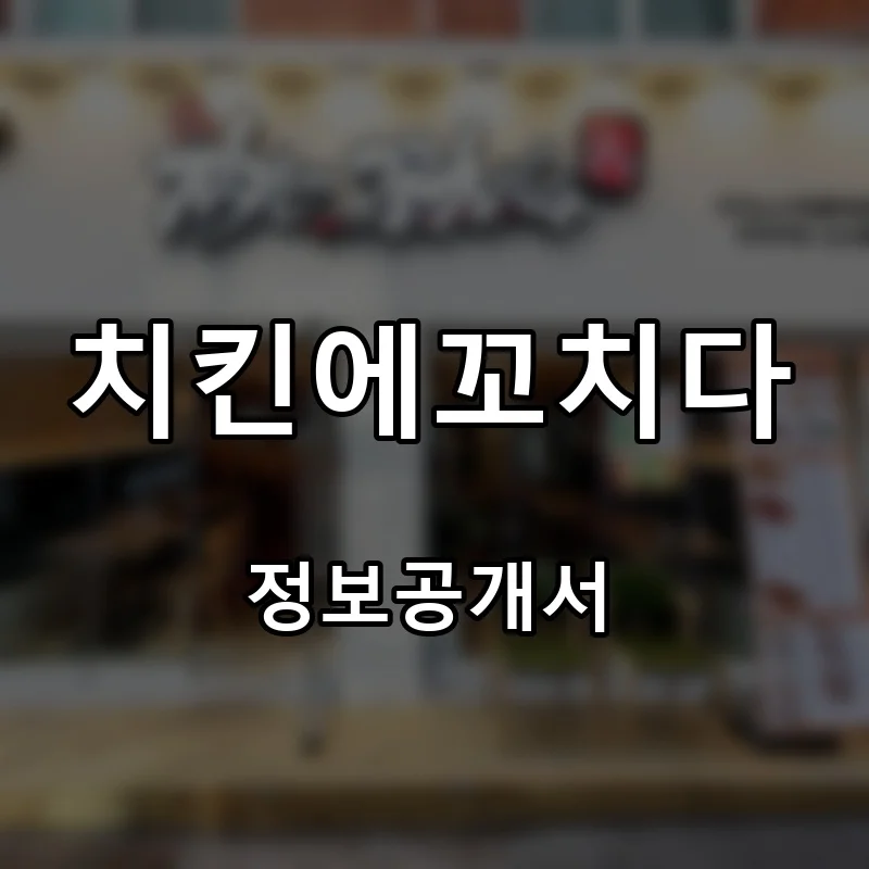 치킨에꼬치다 프랜차이즈 창업 비용 정보공개서 요약
