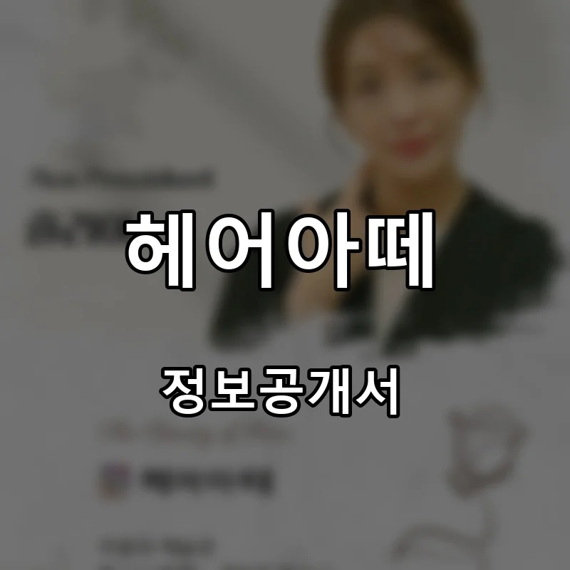 헤어아떼 프랜차이즈 창업 비용 정보공개서 요약