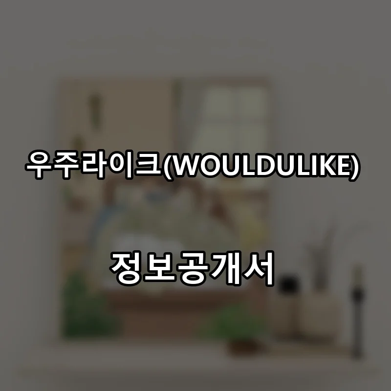 우주라이크(WOULDULIKE) 프랜차이즈 창업 비용 정보공개서 요약
