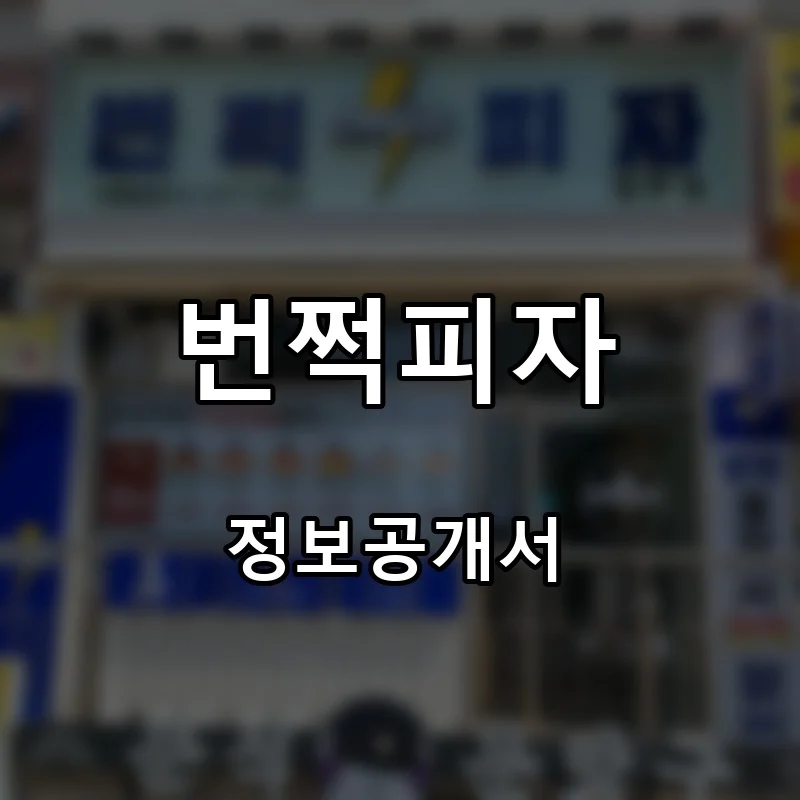 번쩍피자 프랜차이즈 창업 비용 정보공개서 요약