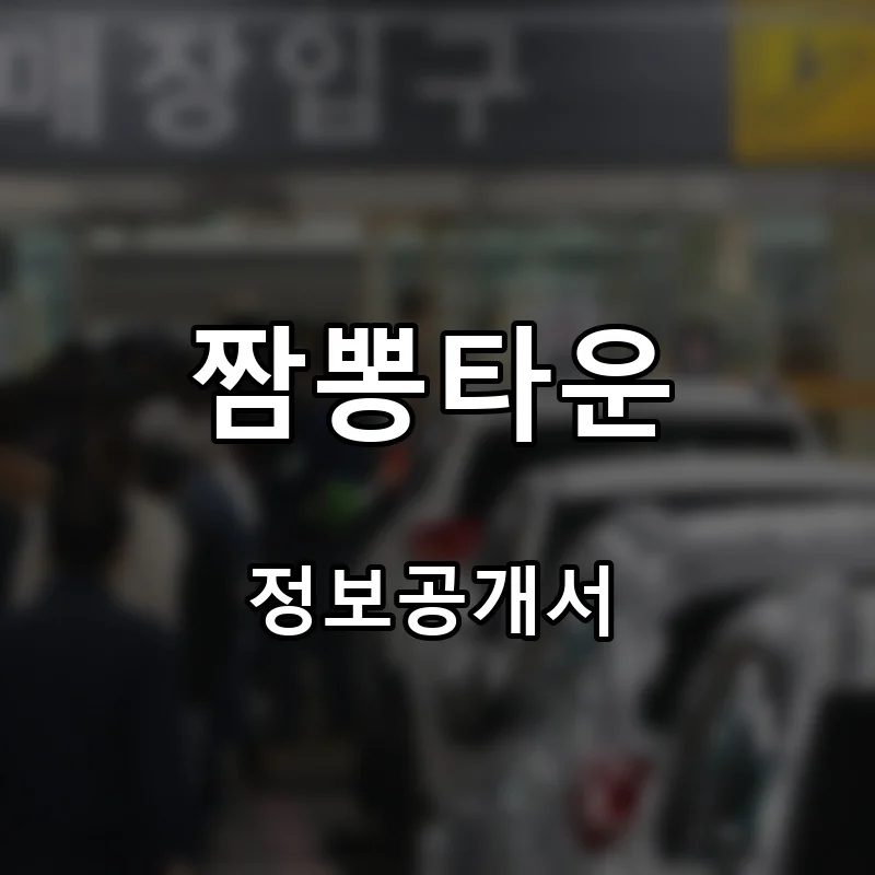 짬뽕타운 프랜차이즈 창업 비용 정보공개서 요약