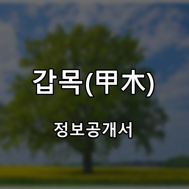 갑목(甲木) 프랜차이즈 창업 비용 정보공개서 요약
