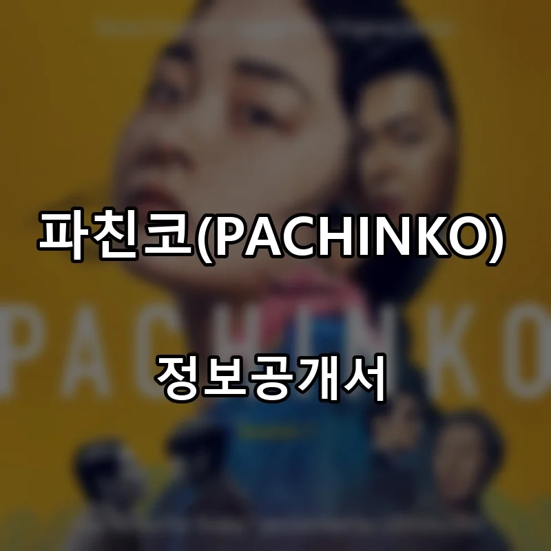 파친코(PACHINKO) 프랜차이즈 창업 비용 정보공개서 요약