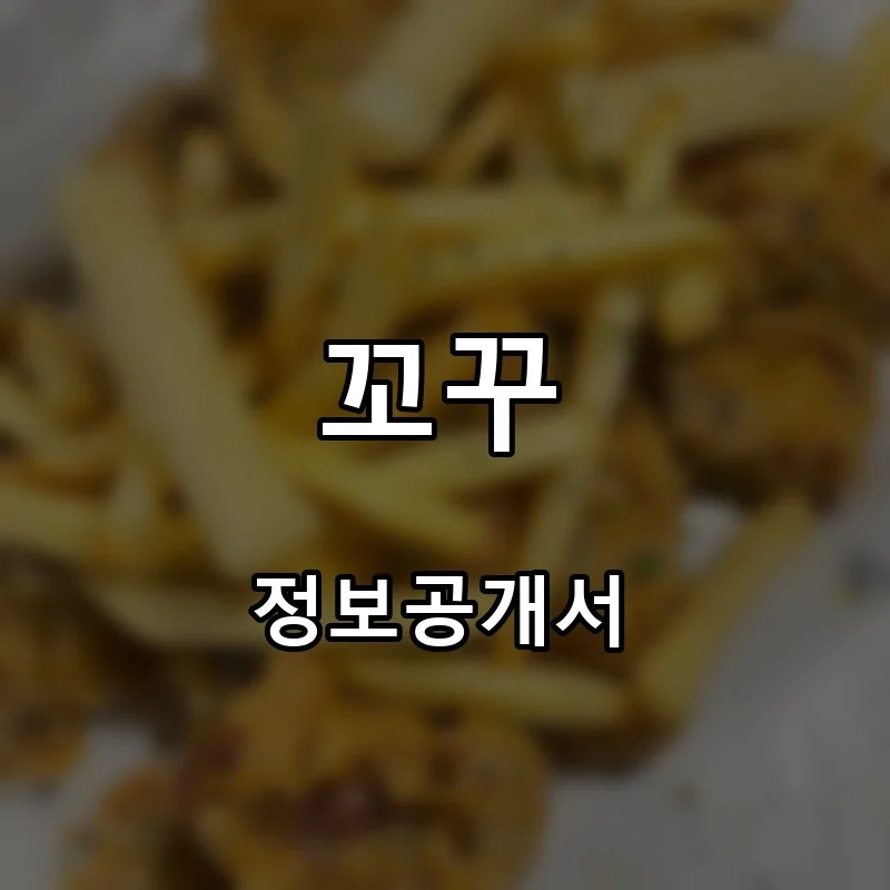 꼬꾸 프랜차이즈 창업 비용 정보공개서 요약