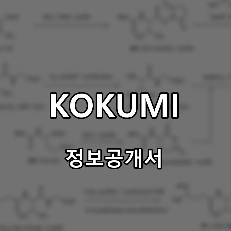 KOKUMI 프랜차이즈 창업 비용 정보공개서 요약