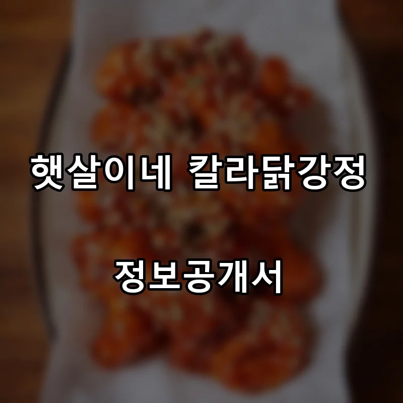 햇살이네 칼라닭강정 프랜차이즈 창업 비용 정보공개서 요약