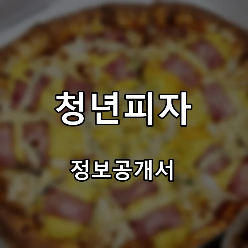 청년피자 프랜차이즈 창업 비용 정보공개서 요약