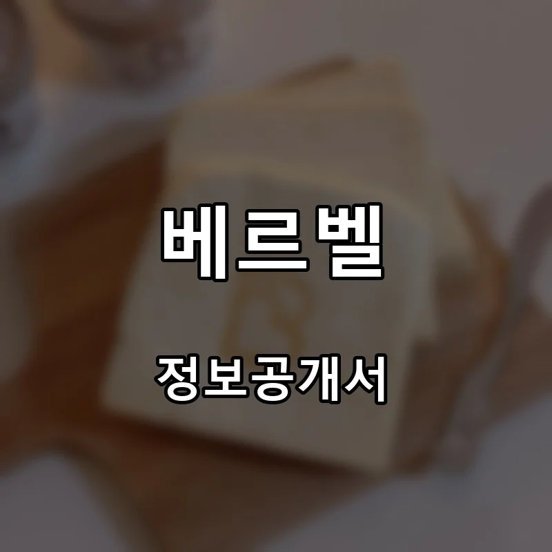 베르벨 프랜차이즈 창업 비용 정보공개서 요약