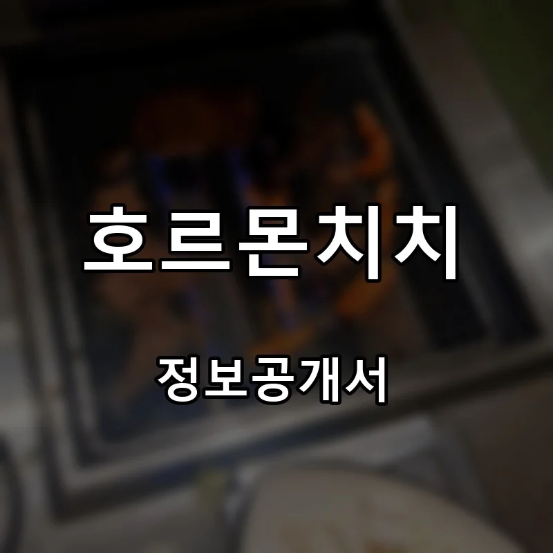 호르몬치치 프랜차이즈 창업 비용 정보공개서 요약