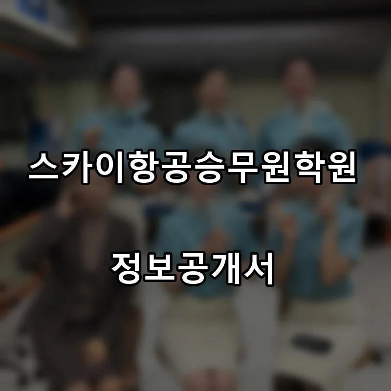 스카이항공승무원학원 프랜차이즈 창업 비용 정보공개서 요약