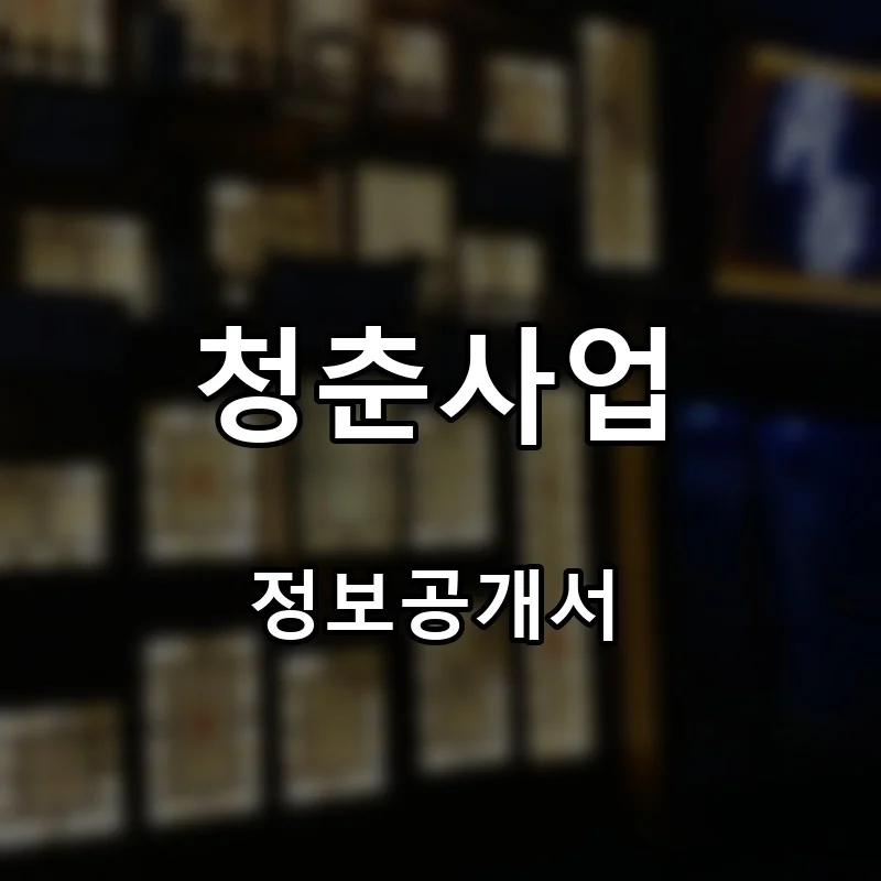 청춘사업 프랜차이즈 창업 비용 정보공개서 요약