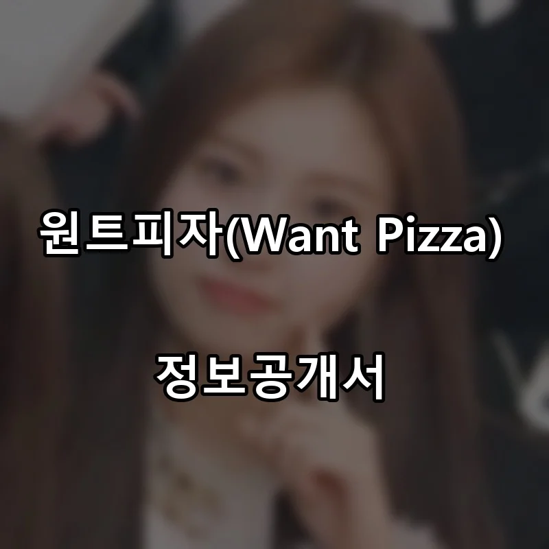 원트피자(Want Pizza) 프랜차이즈 창업 비용 정보공개서 요약