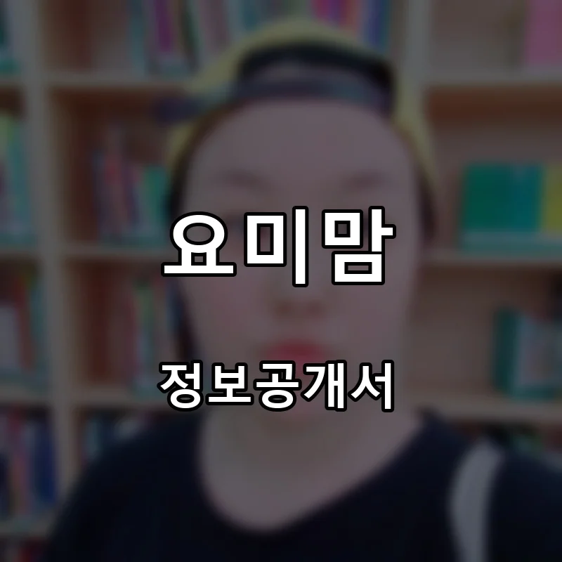 요미맘 프랜차이즈 창업 비용 정보공개서 요약