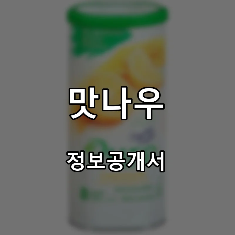 맛나우 프랜차이즈 창업 비용 정보공개서 요약