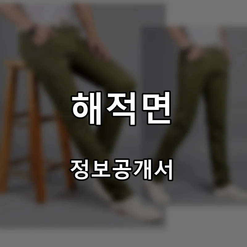 해적면 프랜차이즈 창업 비용 정보공개서 요약