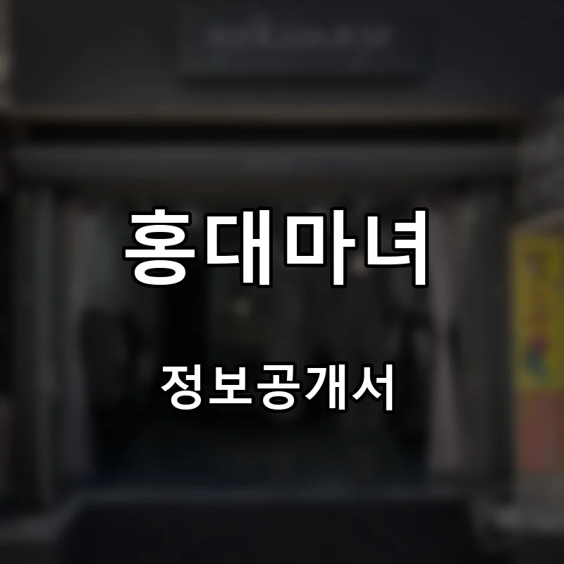 홍대마녀 프랜차이즈 창업 비용 정보공개서 요약