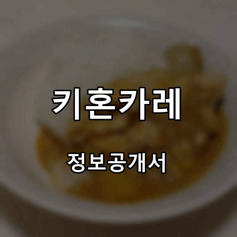 키혼카레 프랜차이즈 창업 비용 정보공개서 요약