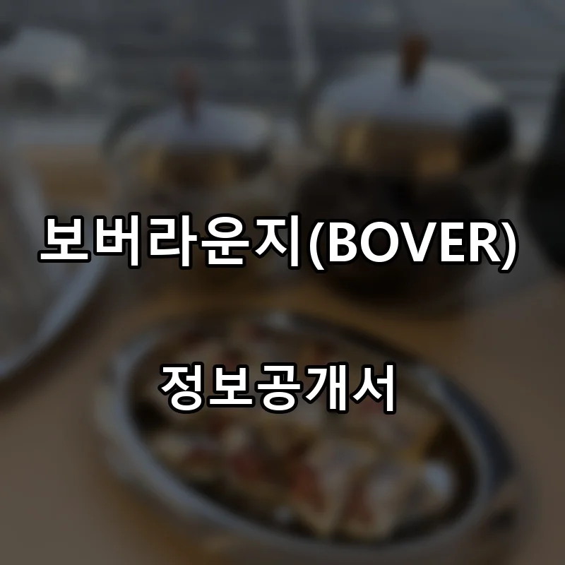 보버라운지(BOVER) 프랜차이즈 창업 비용 정보공개서 요약