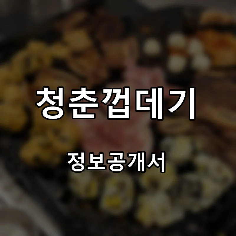 청춘껍데기 프랜차이즈 창업 비용 정보공개서 요약