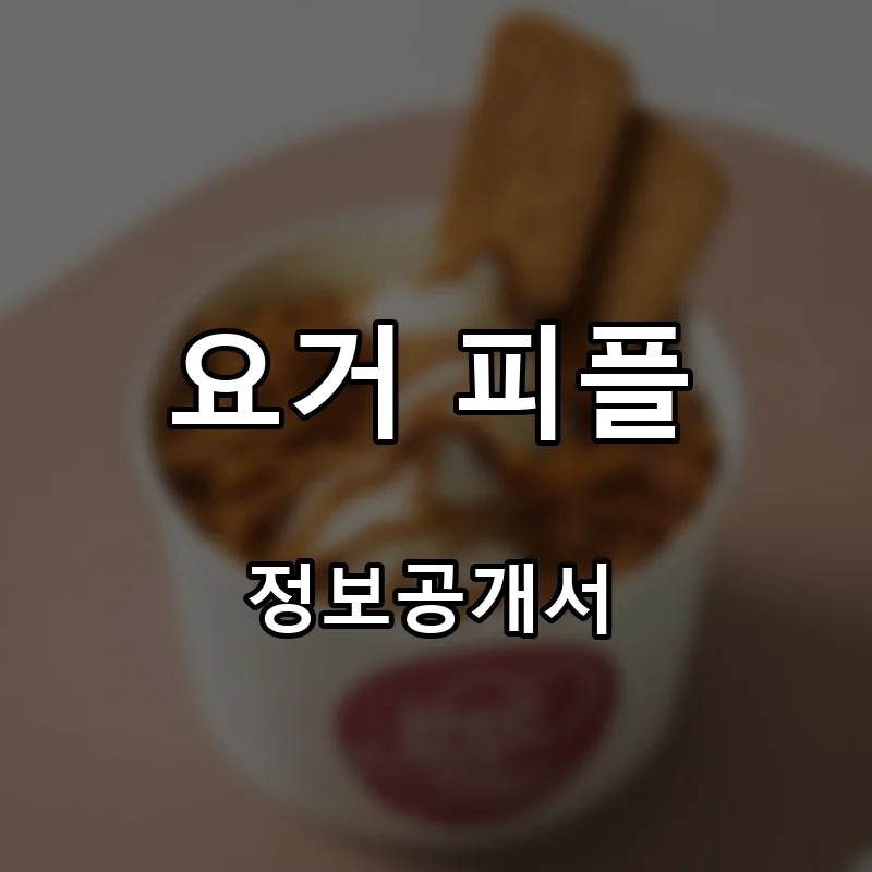 요거 피플 프랜차이즈 창업 비용 정보공개서 요약