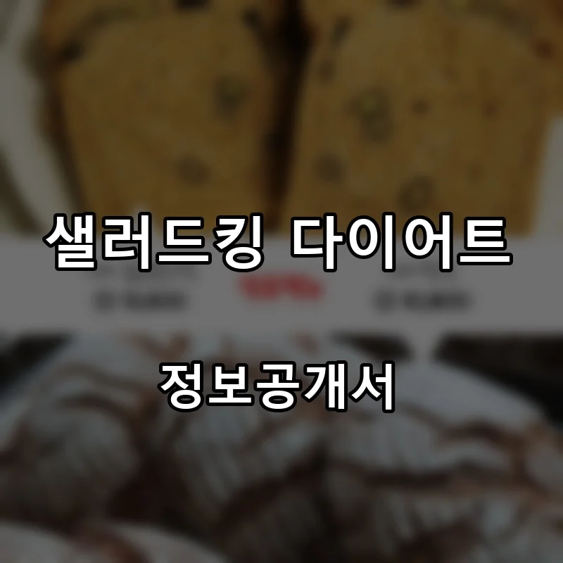 샐러드킹 다이어트 프랜차이즈 창업 비용 정보공개서 요약