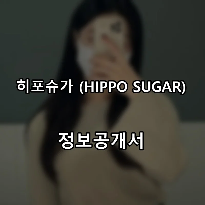 히포슈가 (HIPPO SUGAR) 프랜차이즈 창업 비용 정보공개서 요약