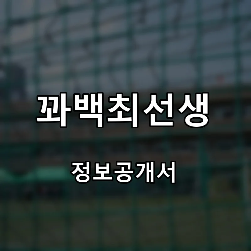 꽈백최선생 프랜차이즈 창업 비용 정보공개서 요약