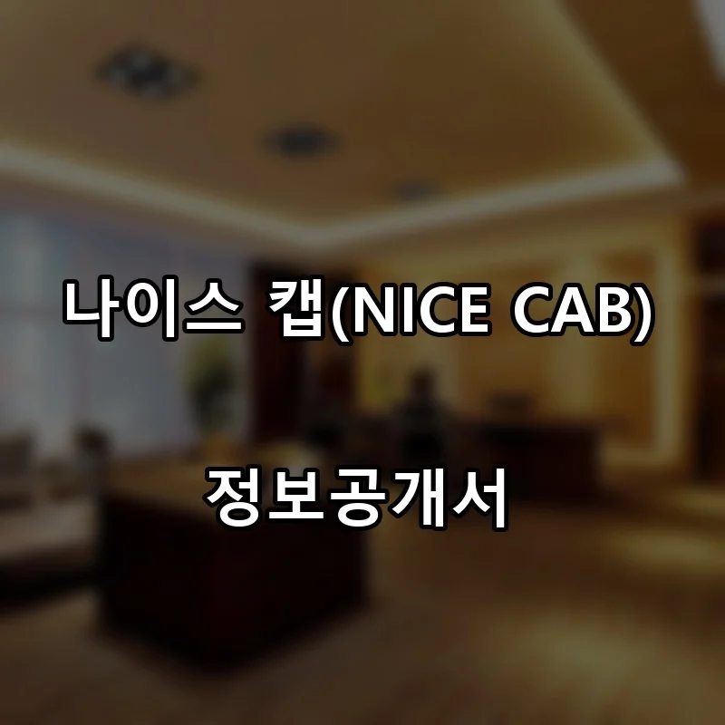 나이스 캡(NICE CAB) 창업 프랜차이즈 정보공개서 요약 2026.10.16