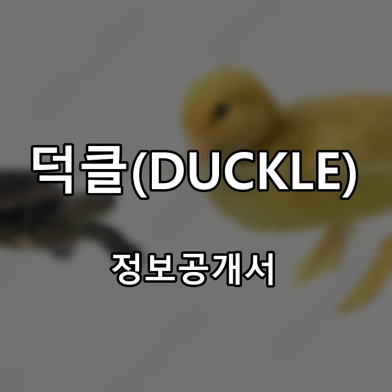 덕클(DUCKLE) 프랜차이즈 창업 비용 정보공개서 요약