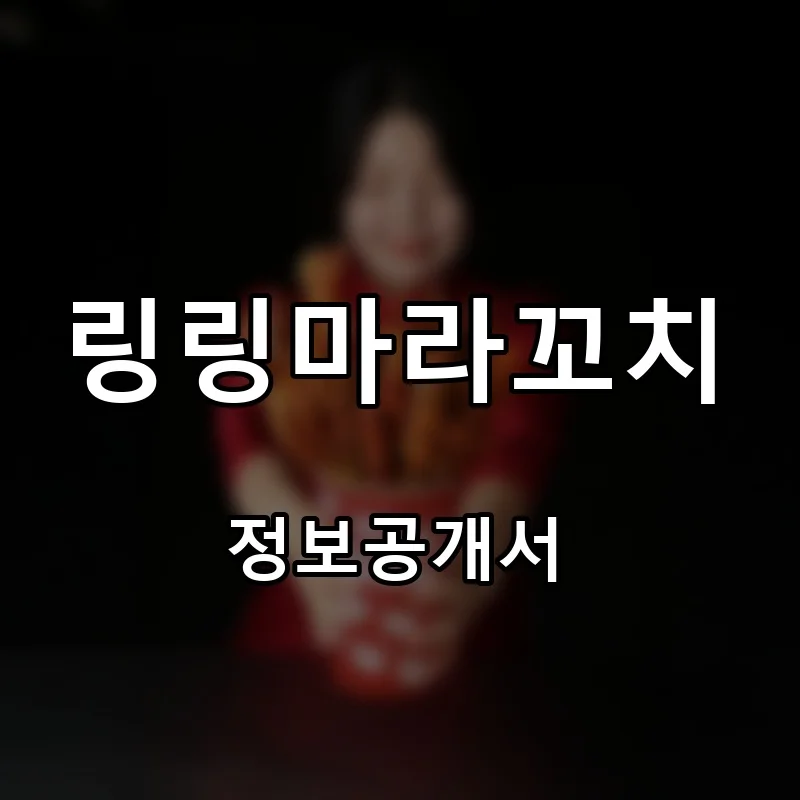 링링마라꼬치 프랜차이즈 창업 비용 정보공개서 요약