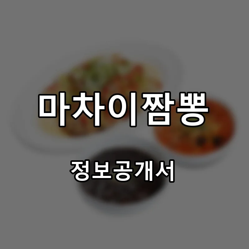 마차이짬뽕 프랜차이즈 창업 비용 정보공개서 요약